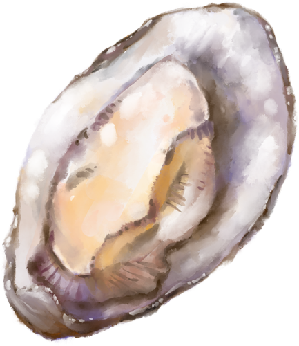 Watercolour-Oyster-1