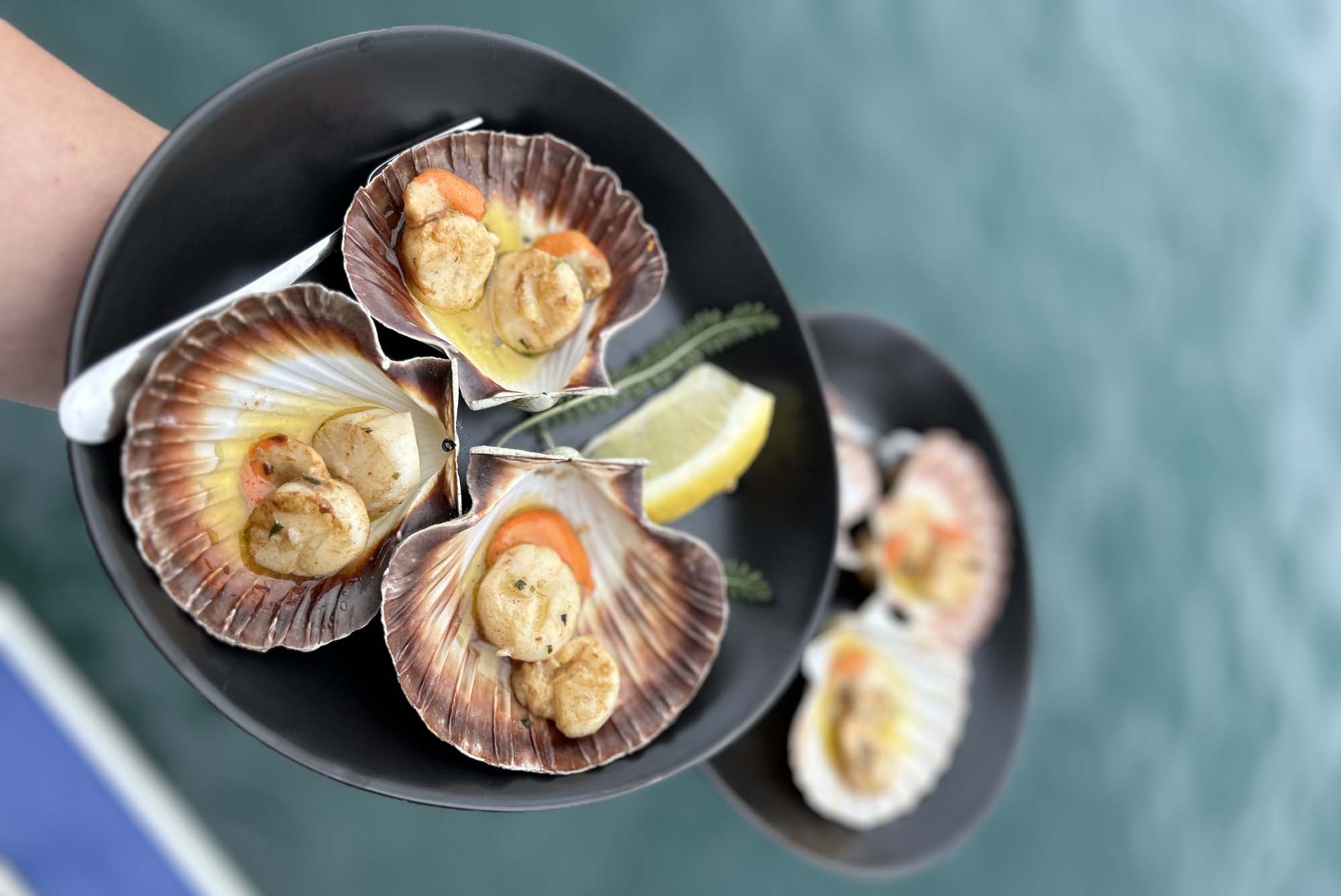 scallops PMT (1)